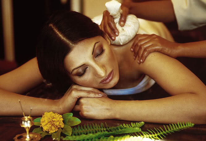 Ayurveda Beginners Course
