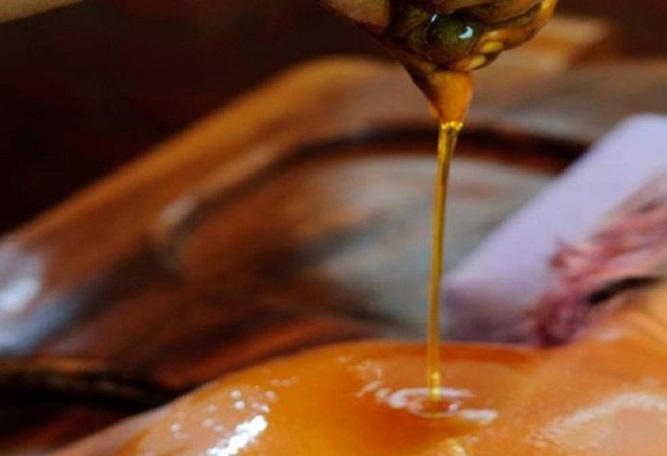 Ayurveda Intermediate Course